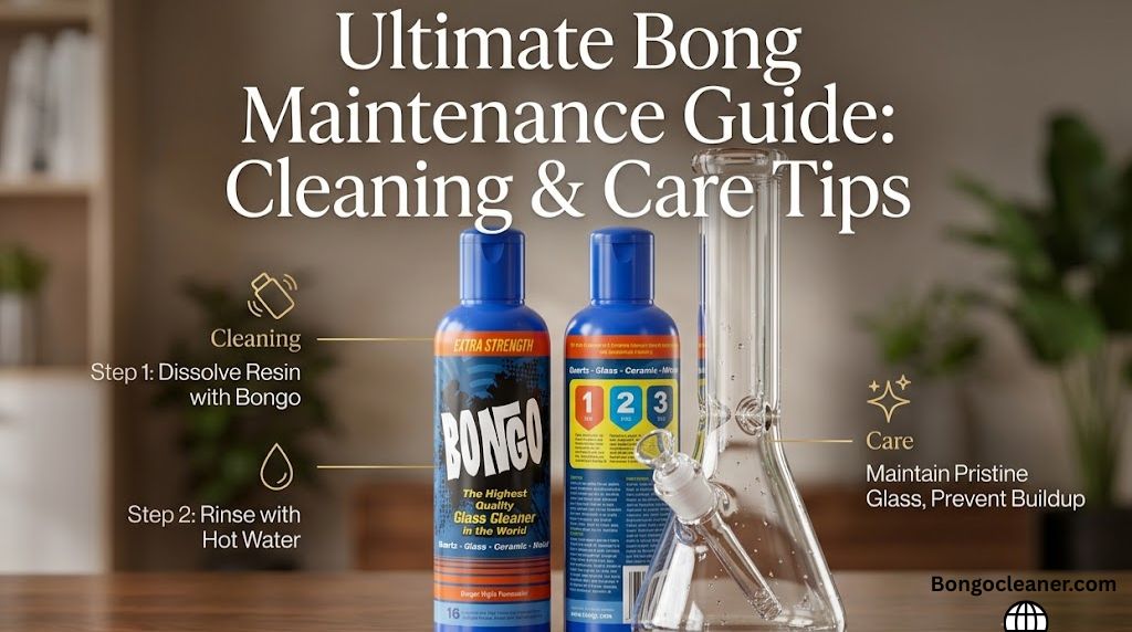 Ultimate Bong Maintenance Guide: Cleaning & Care Tips.